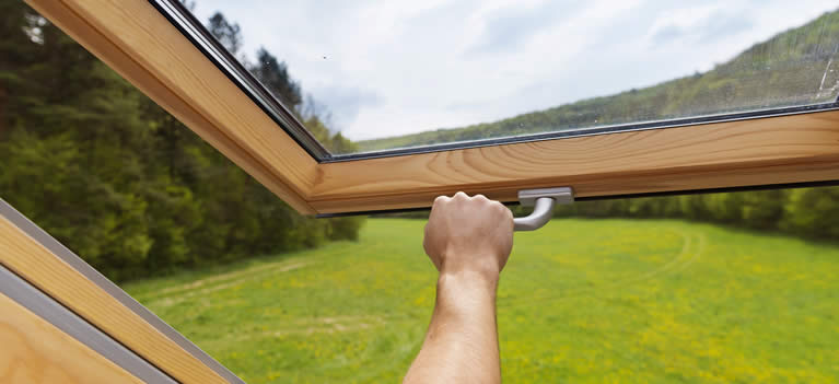 Great Info About Windows for Your Home