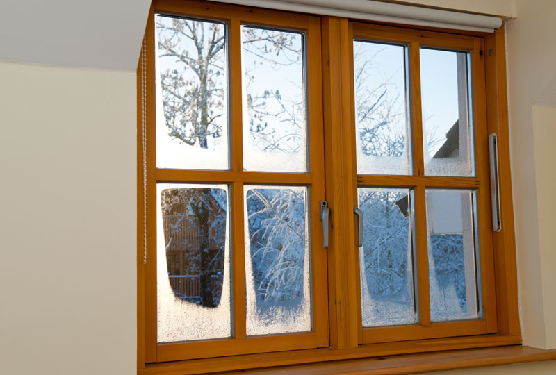 Need New Windows in Michigan? Here Are 5 'Must Know' Tips