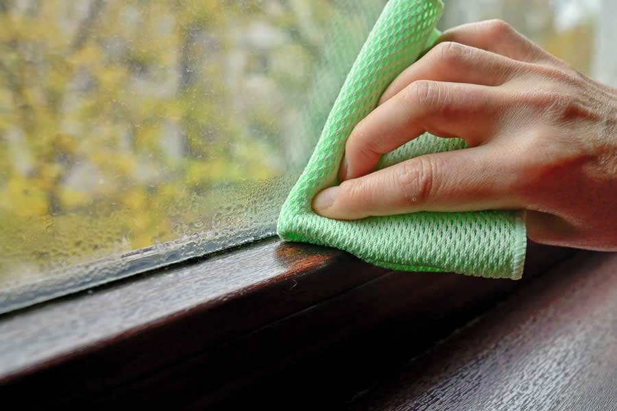 Condensation in Window