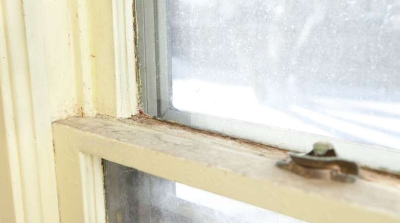 Replacement Windows in Wyandotte Michigan: Everything You Need to Know